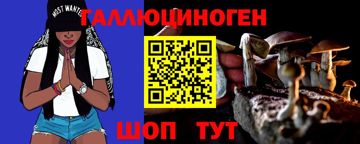 Псилоцибиновые грибы GOLDEN TEACHER  Вход с VPN  Псков 